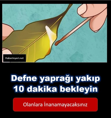 Defne Yaprağını Yakıp 10 Dakika Bekleyin – Gerçekleşenlere Siz Bile İnanamayacaksınız