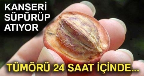 Kanseri Süpürüp Atıyor! Tümörü 24 Saat İçinde...