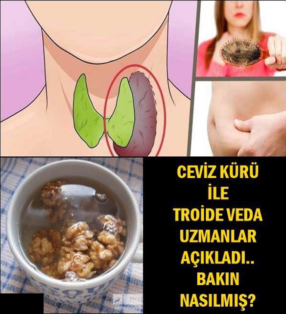 CEVİZ KÜRÜ İLE TROİDE VEDA UZMANLAR AÇIKLADI.. BAKIN NASILMIŞ?