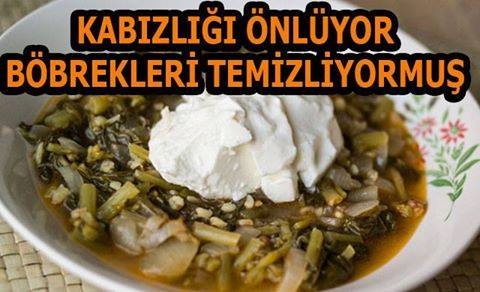 Kabızlığı Önlüyor - Böbrekleri Temizliyor