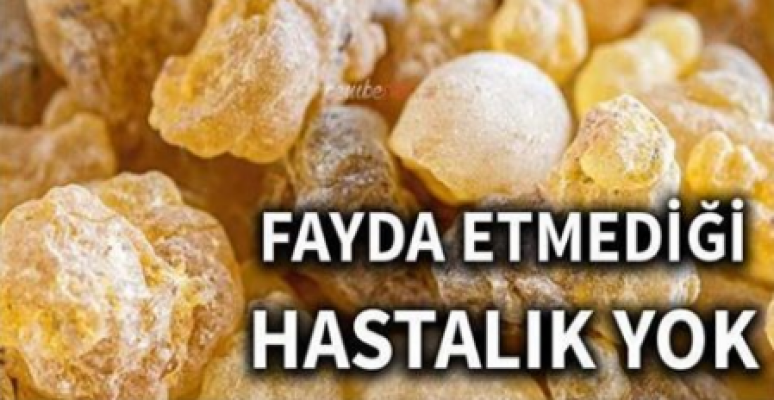 Aklınıza gelebilecek her hastalığa faydası var! Adı da çok ilginç