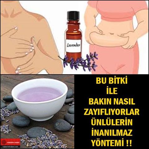 Bu Bitki İle Bakın Nasıl Zayıflıyorlar Ünlülerin İnanılmaz Yöntemi