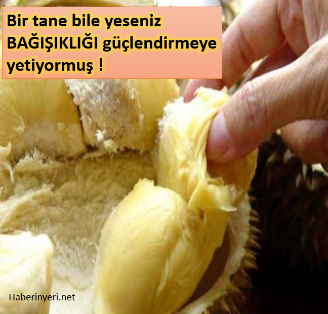 Durian meyvesinin faydaları