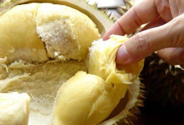 Durian meyvesinin faydaları