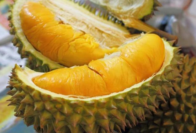 Durian meyvesinin faydaları