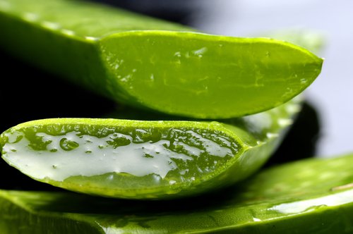 Doğal Aloe Vera Tedavisiyle Daha Sağlıklı Gözlere Sahip Olun