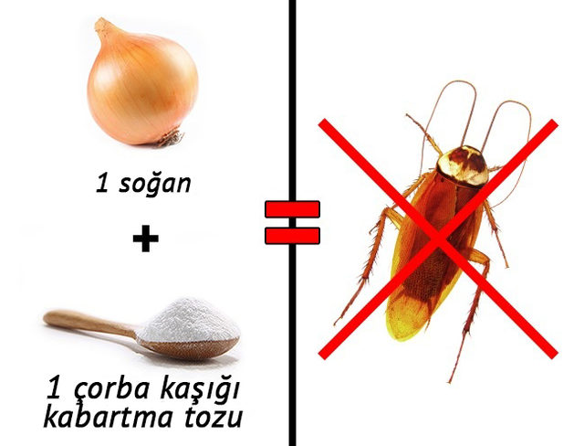 İstenmeyen misafirlerden kurtulmak istiyorsanız