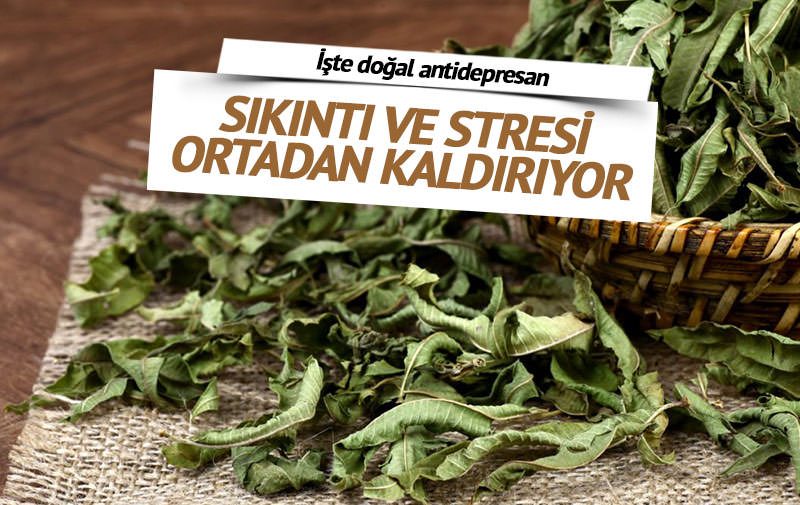 Sıkıntı Ve Stresi Ortadan Kaldırıyor