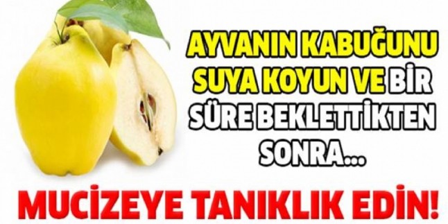 Ayva Kabuğunun İnanılmaz Faydaları Saymakla Bitmiyor