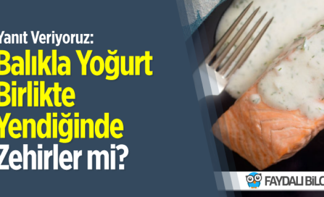 Balıkla Yoğurt Birlikte Yendiğinde Zehirler mi