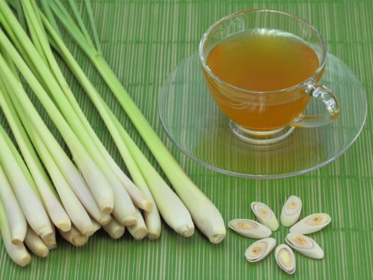 Muhakkak tüketmeniz gereken bir çay: Limon otu çayı