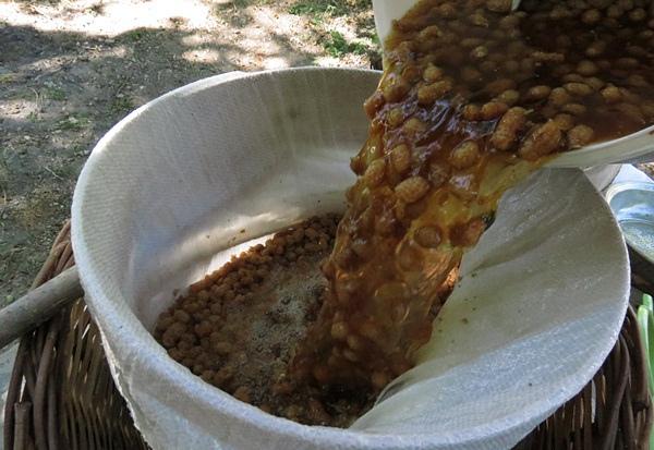 Dut pekmezi nasıl yapılır? faydaları nelerdir?