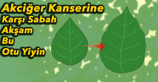 Akciğer Kanserine Karşı Birebir