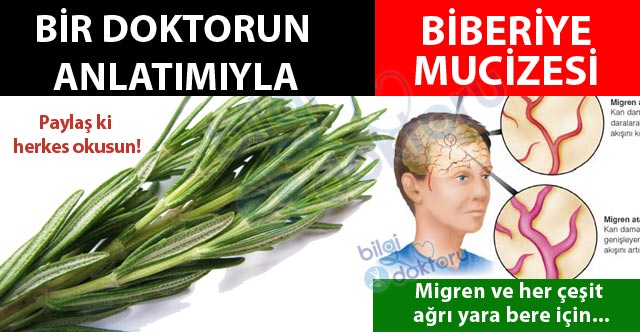 Biberiye Mucizesine İnanın. Yaşanmış Gerçek Tavsiyeler