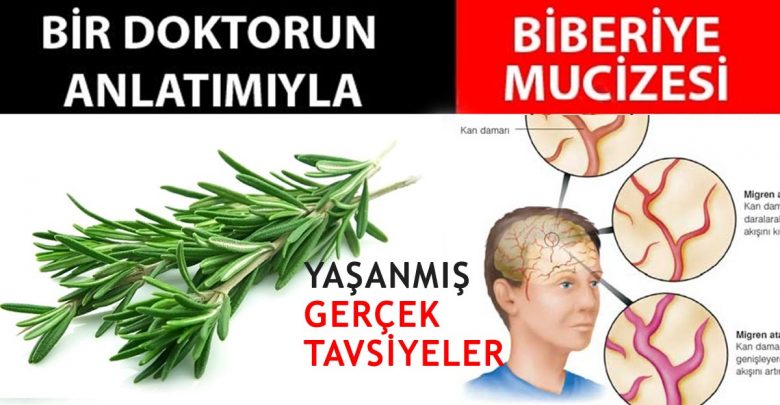 Biberiye Mucizesine İnanın. Yaşanmış Gerçek Tavsiyeler