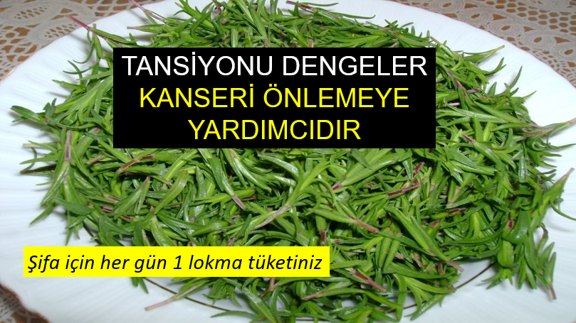 Osmanlı döneminden günümüze kadar ulaşan bu bitki kanseri önlüyor!