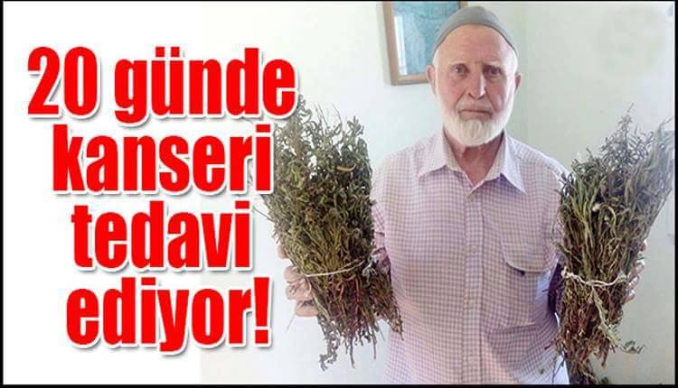 Manisalı Amca Kanser Otu ile 20 Günde Kanseri Yendi