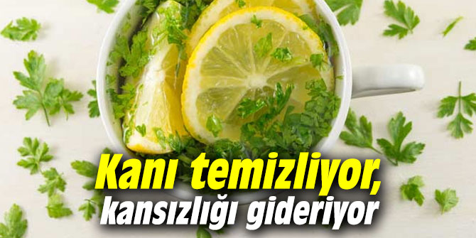 Kanı Temizliyor, Kansızlığı Gideriyor