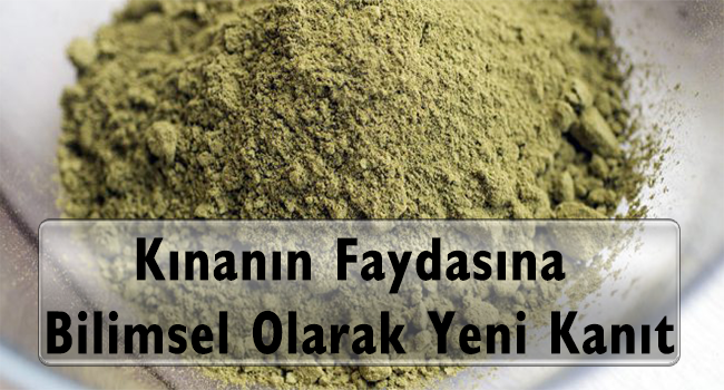 Kınanın Faydasına Bilimsel Olarak Yeni Kanıt